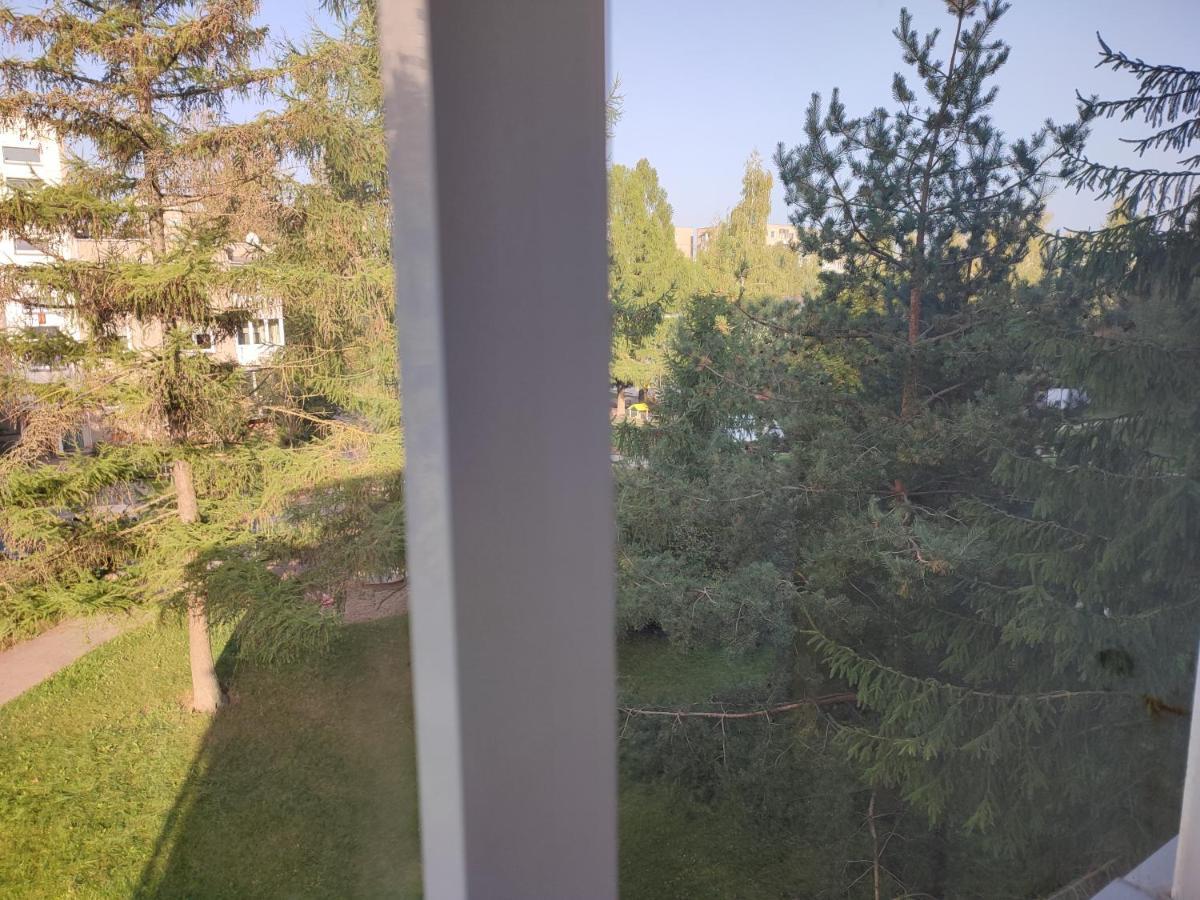 Shortstoppasilaiciai VNO Buitenkant foto